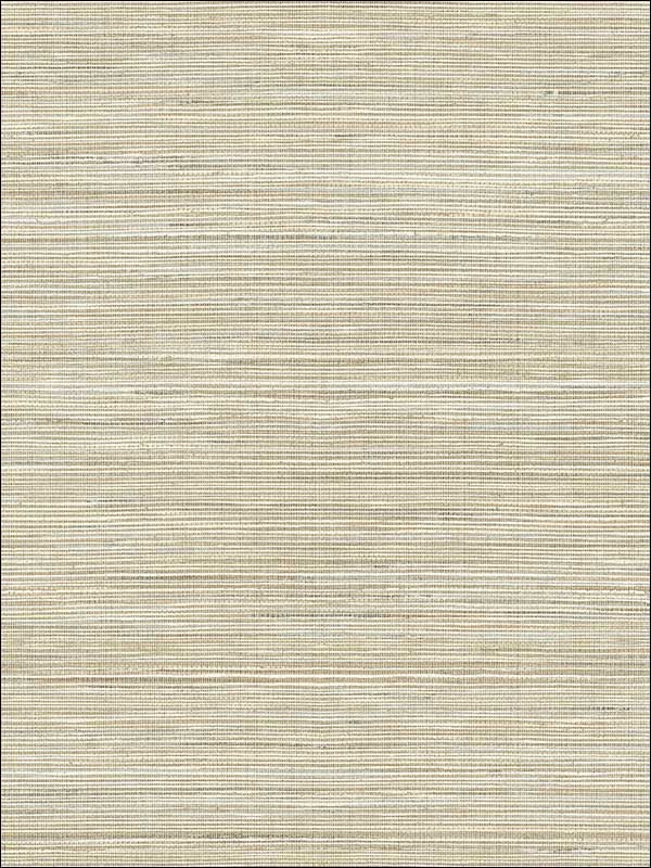 Baja Grass Texture wallpaper in brown color - pattern number PS41507 - by Kenneth James in the Palm Springs collection