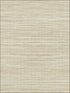 Baja Grass Texture wallpaper in brown color - pattern number PS41507 - by Kenneth James in the Palm Springs collection