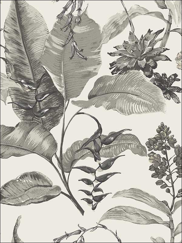 Kauai Damask wallpaper in white color - pattern number PS41800 - by Kenneth James in the Palm Springs collection