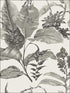 Kauai Damask wallpaper in white color - pattern number PS41800 - by Kenneth James in the Palm Springs collection