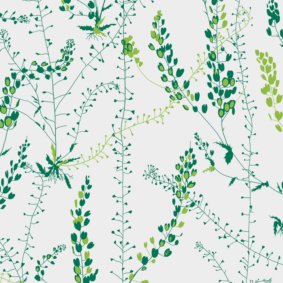 Bladranker wallpaper in leaf color - pattern number 1787 - by Schumacher in the Borastapeter collection