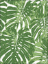 Jamaica fabric in basil green and white color - pattern number TA20004 - by Seabrook in the Tortuga collection