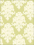 Montserrat fabric in olive green and off white color - pattern number TA20104 - by Seabrook in the Tortuga collection