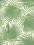 Aruba fabric in fern green and white color - pattern number TA20204 - by Seabrook in the Tortuga collection