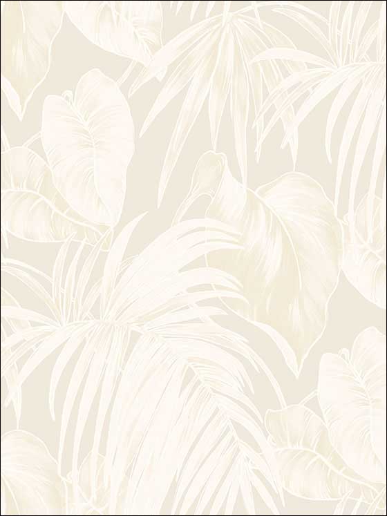 Dominica wallpaper in metallic gold off white and light tan color - pattern number TA21605 - by Seabrook in the Tortuga collection