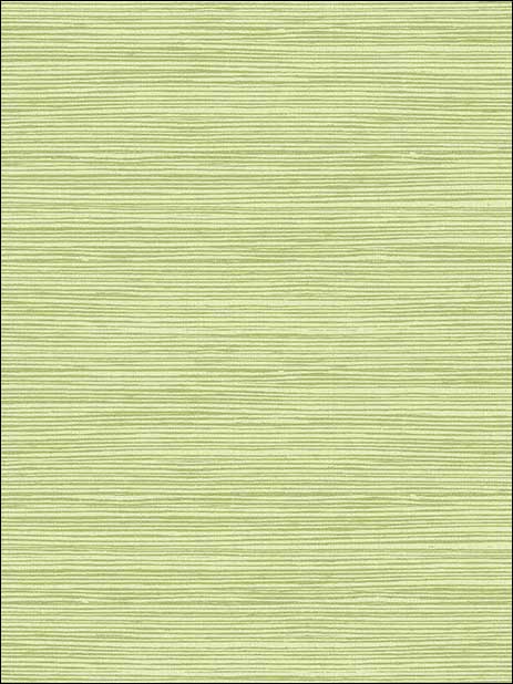 Jamaica Grass wallpaper in olive green color - pattern number TA21704 - by Seabrook in the Tortuga collection