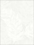 Feathers Screen Print fabric in white off white color - pattern number OY31803 - by Paper and Ink in the White on White collection