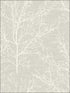 Branch Silhouettes fabric in cool neutral color - pattern number OY34002 - by Paper and Ink in the White on White collection