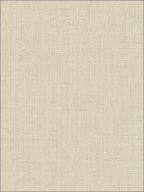 Basket Weave Emboss wallpaper in warm neutral beige color - pattern number OY34715 - by Paper and Ink in the White on White collection