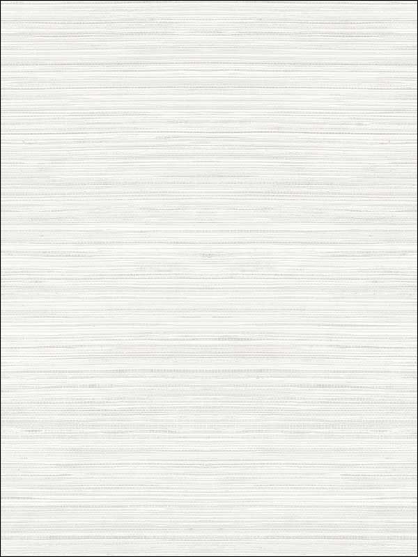 Grasscloth Print fabric in gray color - pattern number OY35007 - by Paper and Ink in the White on White collection