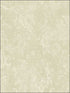 Canvas Damask fabric in green cream color - pattern number SD36104 - by Patton Norwall in the Stripes and Damasks 3 collection