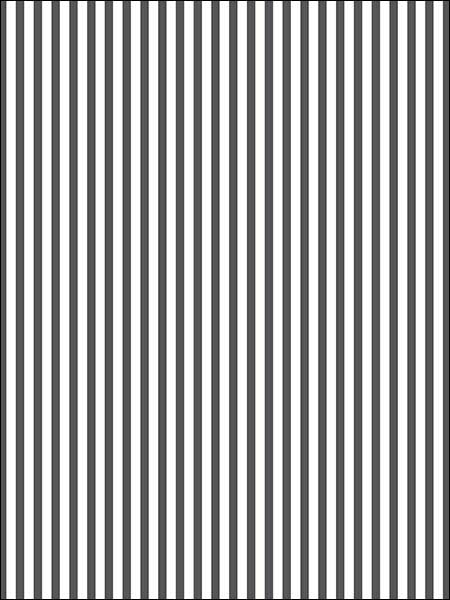 3mm Stripe wallpaper in black white color - pattern number SD36129 - by Patton Norwall in the Stripes and Damasks 3 collection