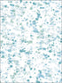 Splatter wallpaper in metallic ice blue turquoise and mint green color - pattern number AH41702 - by Seabrook in the L Atelier De Paris collection