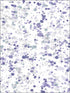 Splatter wallpaper in metallic silver lavender and robins egg color - pattern number AH41709 - by Seabrook in the L Atelier De Paris collection