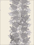 Acacia fabric in grey and white color - pattern number 109/11053.CS.0 - by Cole and Son in the The Ardmore Collection collection
