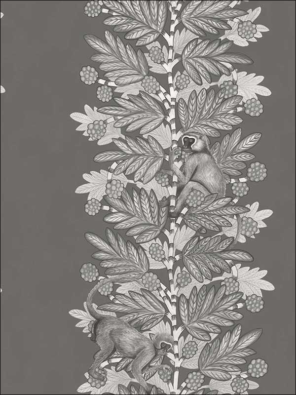 Acacia fabric in charcoal and silver color - pattern number 109/11055.CS.0 - by Cole and Son in the The Ardmore Collection collection