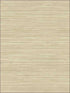 Faux Grasscloth fabric in copper bronze color - pattern number TL30103 - by Pelican Prints in the Rittenhouse Square collection
