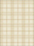 Plaid fabric in brown taupe color - pattern number TL31205 - by Pelican Prints in the Rittenhouse Square collection