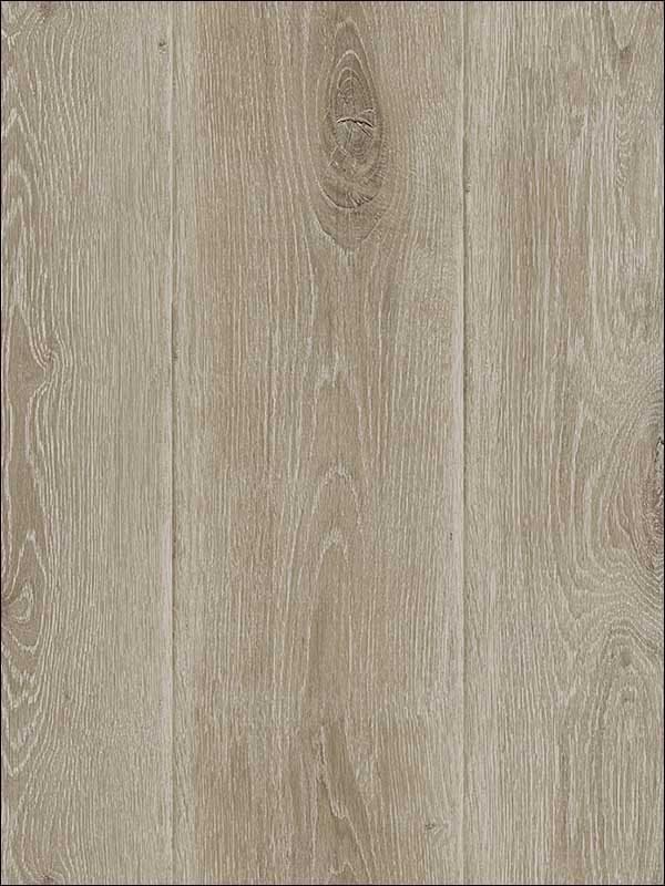 Wood Planks wallpaper in brown taupe color - pattern number TL31806 - by Pelican Prints in the Rittenhouse Square collection