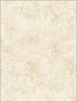 Crackle Faux Finish wallpaper in warm neutral beige color - pattern number TL32405 - by Pelican Prints in the Rittenhouse Square collection