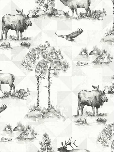 Alaska Moose wallpaper in 50100 color - pattern number TH50100 - by Pelican Prints in the Destination USA collection
