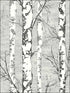 Alaska Birch fabric in 50200 color - pattern number TH50200 - by Pelican Prints in the Destination USA collection