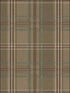 Colorado Plaid fabric in 50601 color - pattern number TH50601 - by Pelican Prints in the Destination USA collection