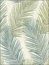 Florida Palms wallpaper in 51504 color - pattern number TH51504 - by Pelican Prints in the Destination USA collection