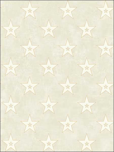Hollywood Stars fabric in 52905 color - pattern number TH52905 - by Pelican Prints in the Destination USA collection