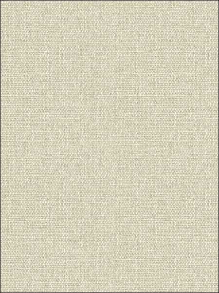 Basketweave Texture wallpaper in 53702 color - pattern number TH53702 - by Pelican Prints in the Destination USA collection