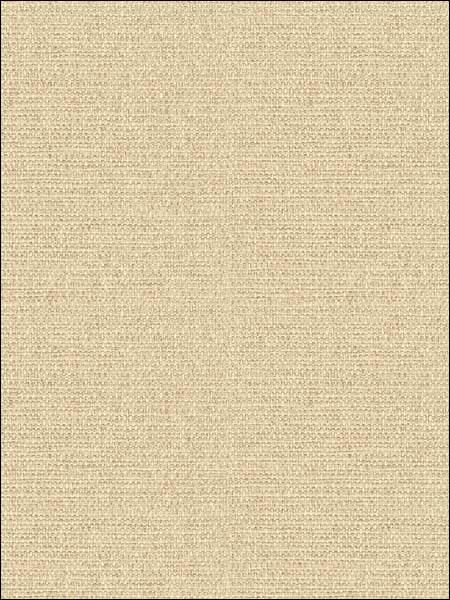 Basketweave Texture wallpaper in 53704 color - pattern number TH53704 - by Pelican Prints in the Destination USA collection