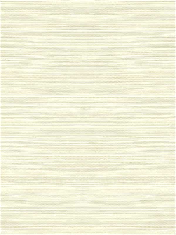 Grasscloth Look Textured wallpaper in 10305 color - pattern number RC10305 - by Wallquest in the Textures 27 in Type II Wallcoverings collection