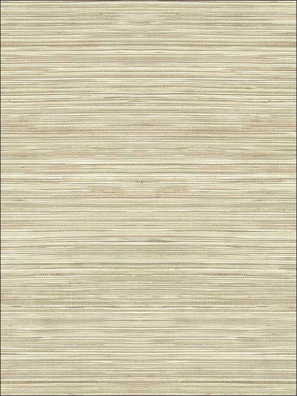 Grasscloth Look Textured wallpaper in 10306 color - pattern number RC10306 - by Wallquest in the Textures 27 in Type II Wallcoverings collection