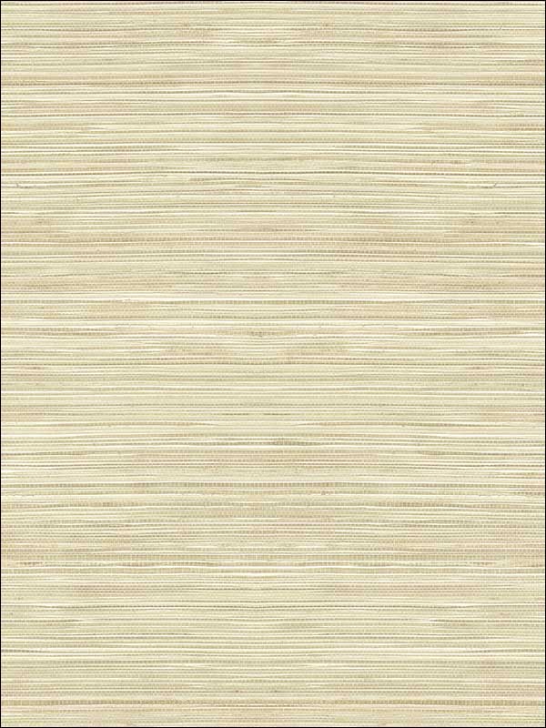Grasscloth Look Textured wallpaper in 10307 color - pattern number RC10307 - by Wallquest in the Textures 27 in Type II Wallcoverings collection