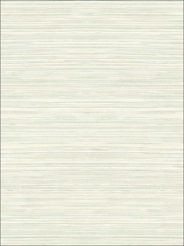 Grasscloth Look Textured wallpaper in 10308 color - pattern number RC10308 - by Wallquest in the Textures 27 in Type II Wallcoverings collection