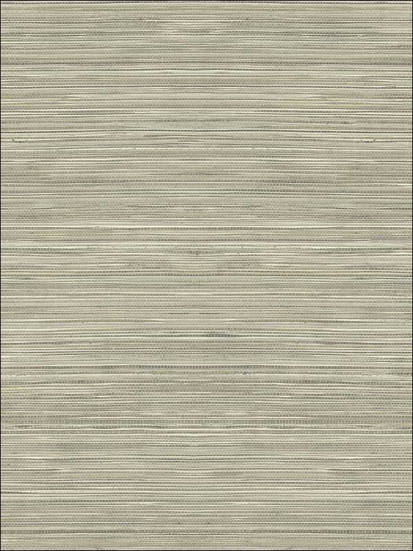 Grasscloth Look Textured wallpaper in 10316 color - pattern number RC10316 - by Wallquest in the Textures 27 in Type II Wallcoverings collection