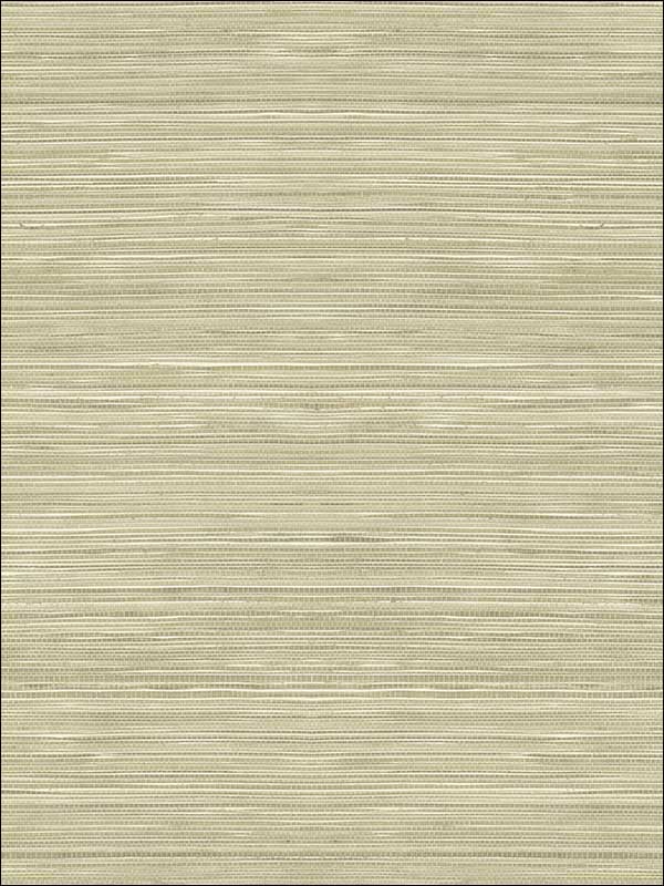 Grasscloth Look Textured wallpaper in 10317 color - pattern number RC10317 - by Wallquest in the Textures 27 in Type II Wallcoverings collection
