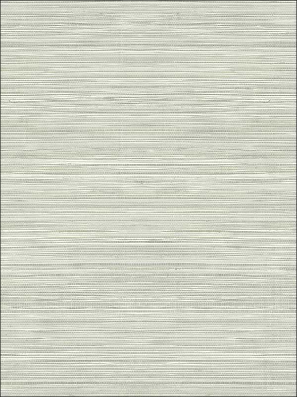 Grasscloth Look Textured wallpaper in 10318 color - pattern number RC10318 - by Wallquest in the Textures 27 in Type II Wallcoverings collection