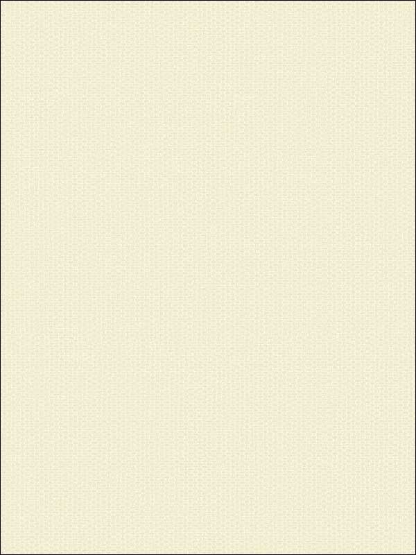 Grasscloth Look Weave Textured wallpaper in 10805 color - pattern number RC10805 - by Wallquest in the Textures 27 in Type II Wallcoverings collection