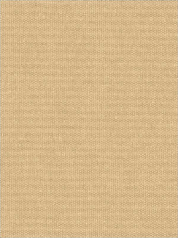 Grasscloth Look Weave Textured wallpaper in 10806 color - pattern number RC10806 - by Wallquest in the Textures 27 in Type II Wallcoverings collection