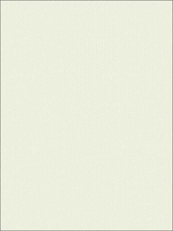 Grasscloth Look Weave Textured wallpaper in 10808 color - pattern number RC10808 - by Wallquest in the Textures 27 in Type II Wallcoverings collection