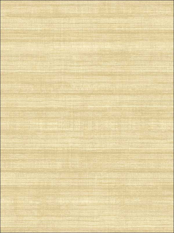 Grasscloth Look Stria Textured wallpaper in 11003 color - pattern number RC11003 - by Wallquest in the Textures 27 in Type II Wallcoverings collection