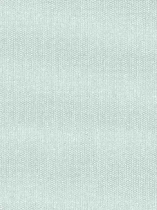 Grasscloth Look Weave Textured wallpaper in 10818 color - pattern number RC10818 - by Wallquest in the Textures 27 in Type II Wallcoverings collection