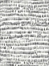 Runes Brushstrokes fabric in charcoal color - pattern number 2764-24354 - by A Street Prints in the Mistral collection