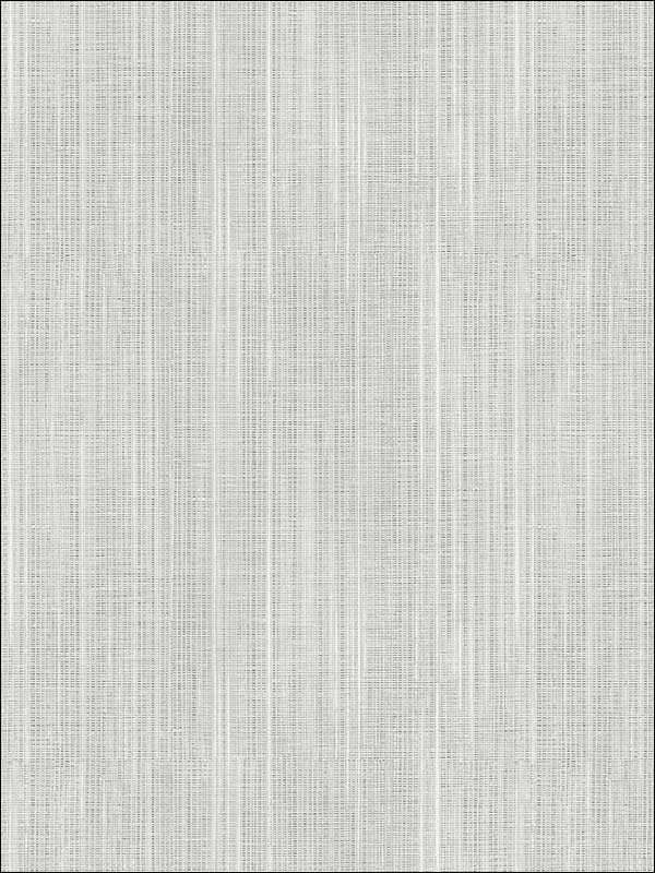 Asami Texture fabric in grey color - pattern number WF36304 - by Patton Norwall in the Wall Finishes collection