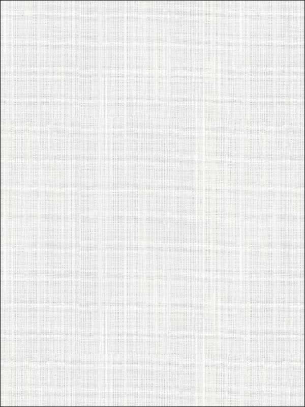 Asami Texture fabric in grey color - pattern number WF36306 - by Patton Norwall in the Wall Finishes collection