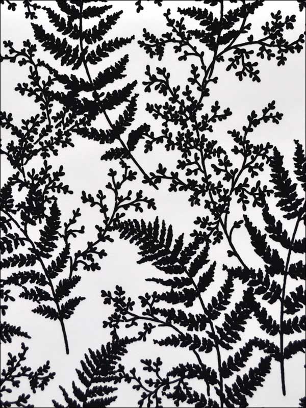 Forest Fern Flock wallpaper in black color - pattern number ME1583 - by Magnolia Home by Joanna Gaines in the Magnolia Home Vol 2 collection