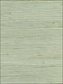 Amur Grasscloth wallpaper in mint color - pattern number 2732-65609 - by Kenneth James in the Canton Road Grasscloth collection