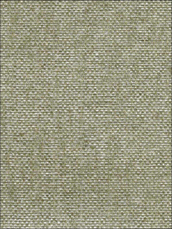 Kushan Paper Weave wallpaper in light green color - pattern number 2732-80079 - by Kenneth James in the Canton Road Grasscloth collection