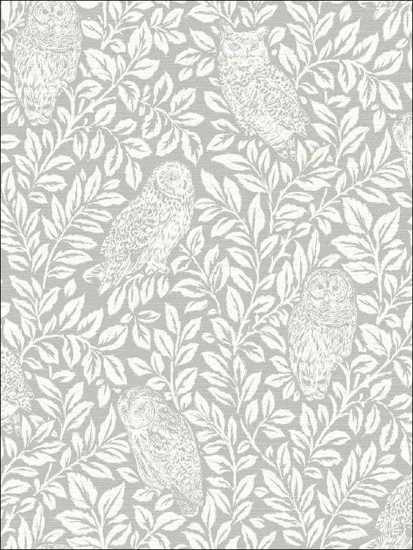 Parliament Owl wallpaper in light grey color - pattern number 3115-12411 - by Chesapeake in the Farmhouse collection
